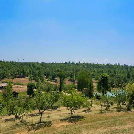 Tipologia Bilocale By Interhome Apartment